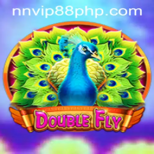 Discovering the Exciting World of DoubleFly